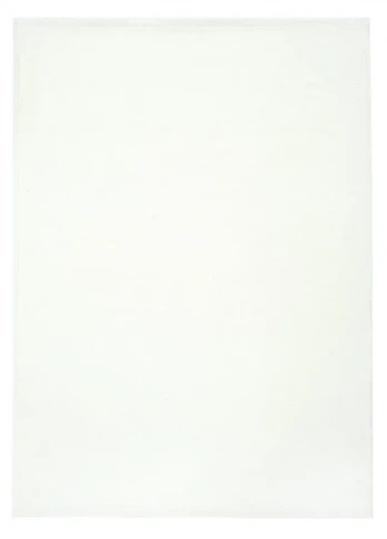 Kilimas Basic White, 160x230 cm