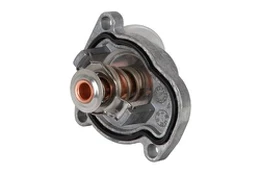 Termostatas, aušinimo skystis CONTINENTAL 28020040292