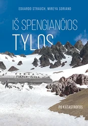 Iš spengiančios tylos: po katastrofos kaina
