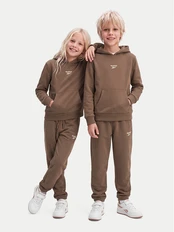 Reebok Sportinis kostiumas RK95228CCB Ruda Regular Fit