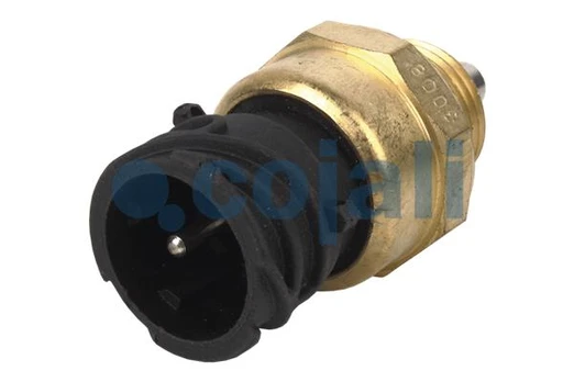 kontrolinis jungiklis 2260343COJ