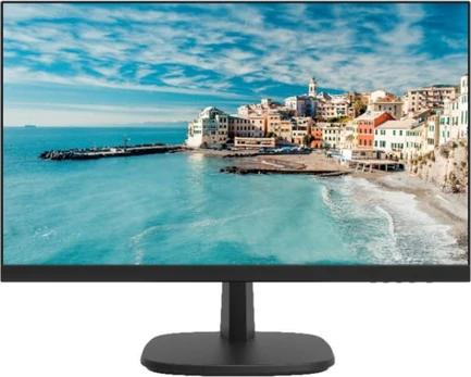 Monitorius Hikvision DS-D5024FN