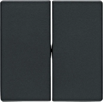 „Berker Double Keys Antracite“ (16236086)