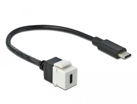 KEYSTONE MODULIS USB-C(F) 3.0->USB-C(M) LIZDAS ANT KABELIO 25 cm JUODA-BALTA DELOCK