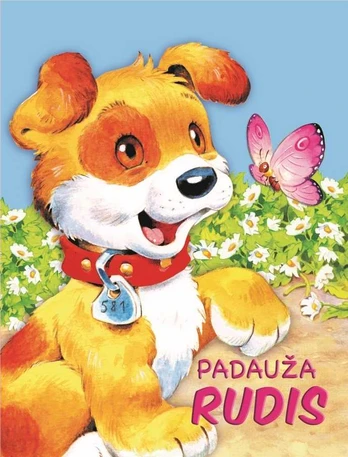 Padauža Rudis