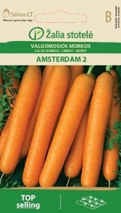 Valgomosios morkos Amsterdammer 2