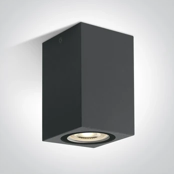 Paviršinis šviestuvas, GU10, antracito sp., IP65, 67142D/AN