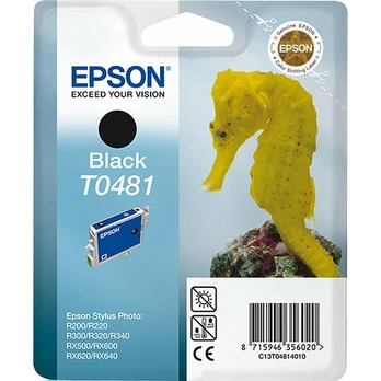 Epson T0481 Stylus Photo juoda