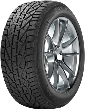 Tigar Winter 195/65R15 95 T