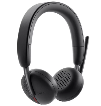Ausinės Dell WL3024