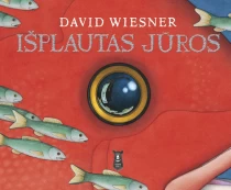 KNYGA Išplautas jūros kaina