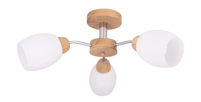 Šviestuvas lubų Spot-Light Parma, E27