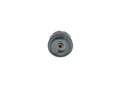 Alyvos filtras BOSCH F 026 407 099 kaina