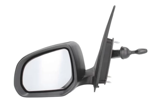 BLIC 5402-16-2002897P Wing mirror