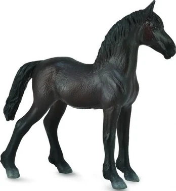 Fryzų veislės kumeliukas - Collecta