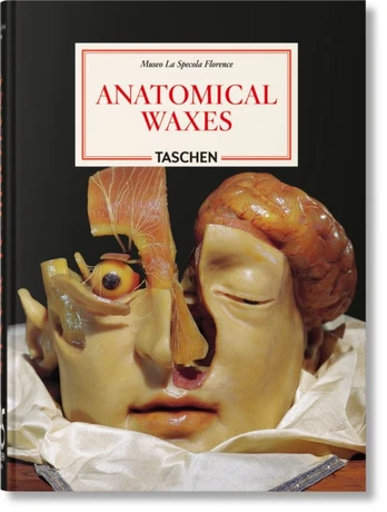 Anatomical Waxes. 45th Ed.