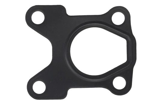 EGR vožtuvo tarpinė AJU01388900