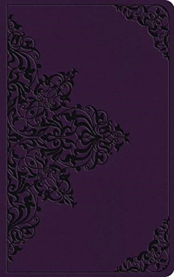 ESV Large Print Value Thinline Bible