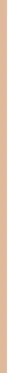 Pupa Milano Corrector High Precision Maskuoklis 1.4 g