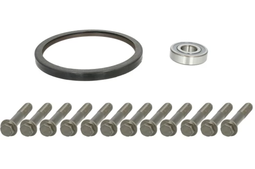 remonto komplektas, smagratis FE47987