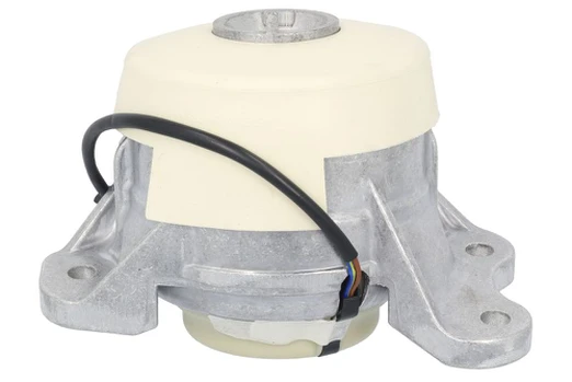Variklio montavimas TEDGUM TED24521