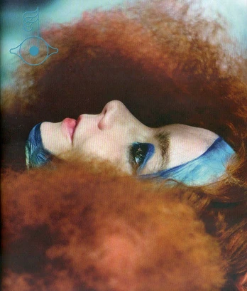 Blu-ray+CD Björk – Biophilia Live