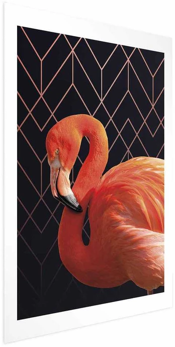 Artgeist Plakatas - Flamingo Solo