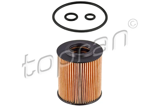 Alyvos filtras HANS PRIES HP113 785