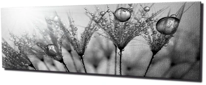 Reprodukcija Wallity PC047, 80 cm x 30 cm, 1 vnt. kaina