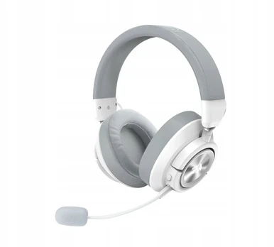 Ausinės Redragon H889WG