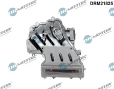 Įsiurbimo kolektoriaus modulis Dr.Motor Automotive DRM21825 kaina