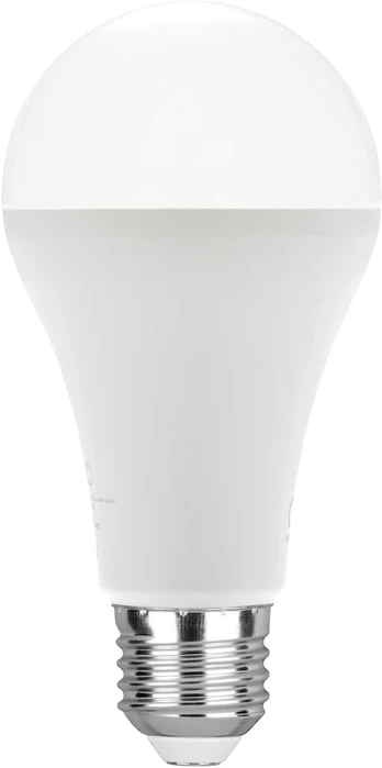 19W LED lemputė, balta, E27, 6500K