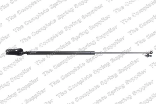 LESJOFORS LS8188313 Boot strut