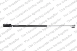 LESJOFORS LS8188313 Boot strut kaina