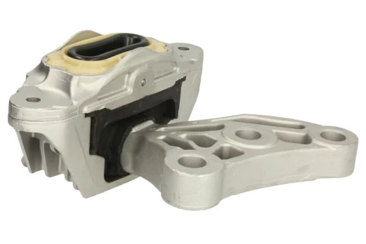 variklio montavimas SAS2706529