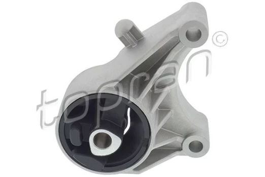 Variklio montavimas TOPRAN 208 466