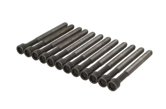 ELRING EL341410 Cylinder head bolt set