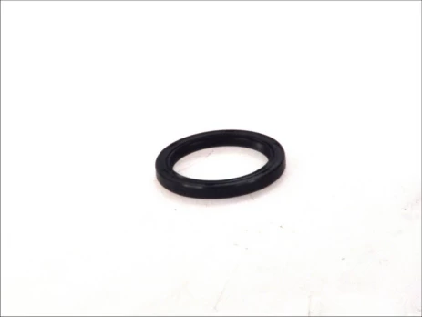 REINZ 81-53277-00 Crankshaft seal