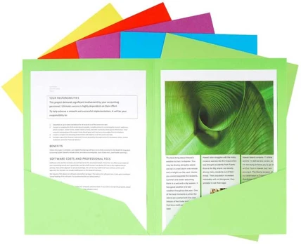 Exacompta 415000E, Conventional file folder, A4, Carton, Multicolour, 210 g/m², 240 mm