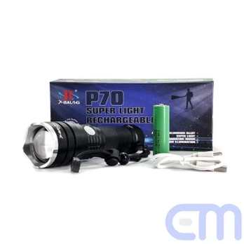 Prožektorius BAILONG LED P70