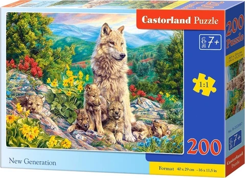 Dėlionė Castorland New Generation 342928, 29 cm x 40 cm