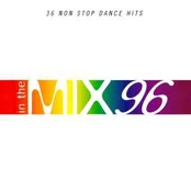 CD Various - In The Mix 96