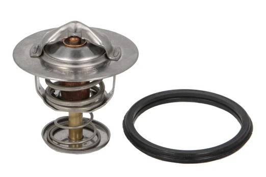 termostatas, aušinimo skystis THERMOTEC D23001TT