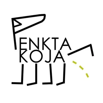 Auka šunų prieglaudai