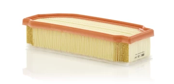 Oro filtras MANN-FILTER C29041 kaina