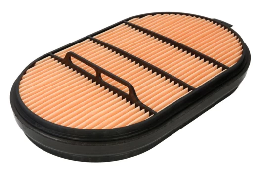 Oro filtras DONALDSON OFF P601560