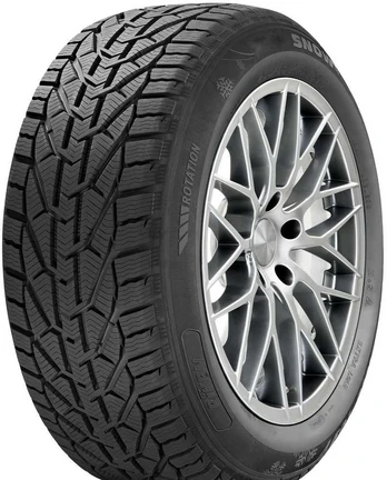 Riken Snow 205/55 R16 94H XL