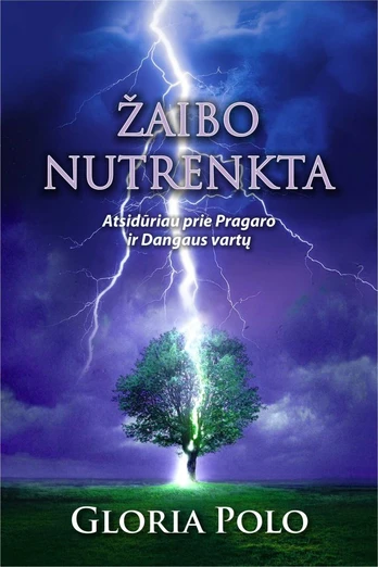 Žaibo nutrenkta