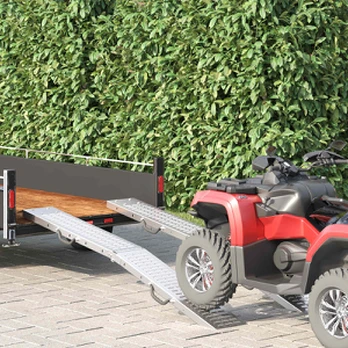 Krovimo rampos 2 pcs Sidabro 185 x 22,5 x 4,5 cm