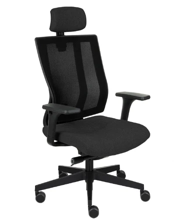 Biuro kėdė MaxPro BS HD Black Medley